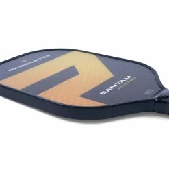Cheap 👍 Paddletek Bantam TS-5 Pro Lightweight Composite Pickleball Paddle 🎉 -OutletEdge Guard Pickleball Paddles Store paddletek bantam ts 5 pro middleweight composite pickleball paddle 34050 79 l